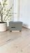 Promes MS 38 ID999MARKET_5988403 фото 2